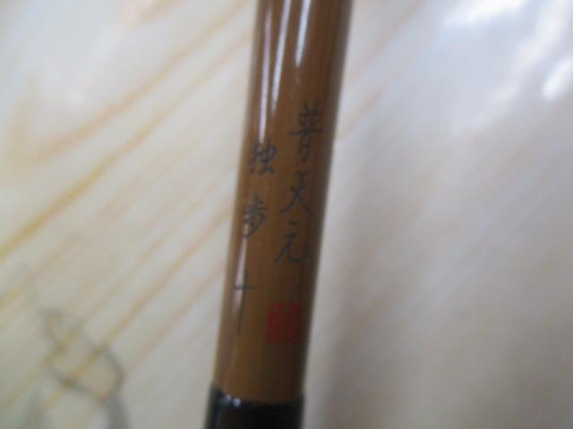 普天元 独歩 10