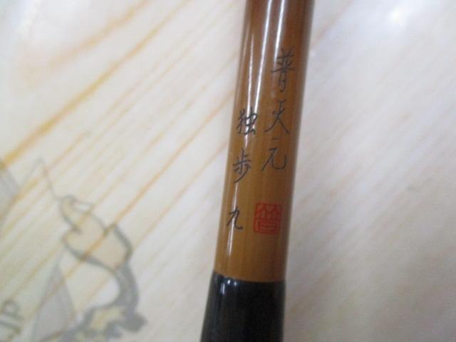普天元 独歩 9