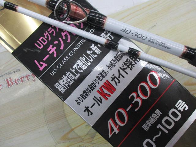 11舳 40-300
