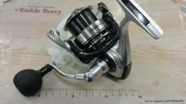 12キャタリナ 4020PE-H