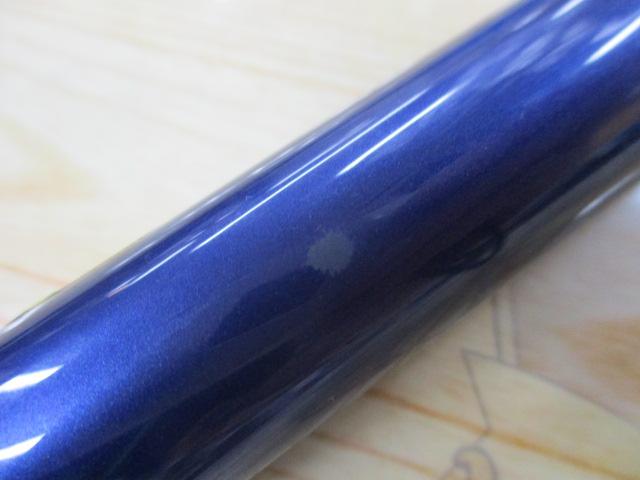 シーマイティテンヤタチウオ M225