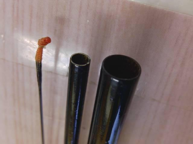 魚心観8