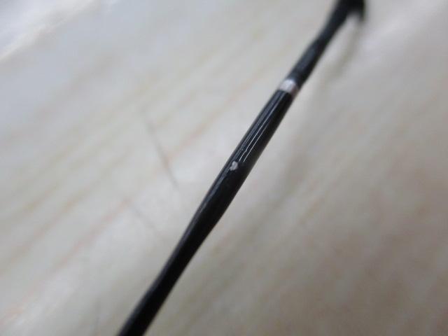 普天元 獅子吼 10.5
