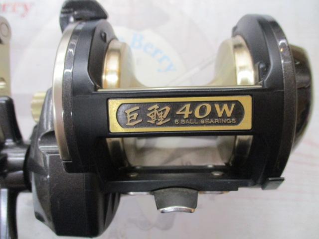 巨鯉 40W