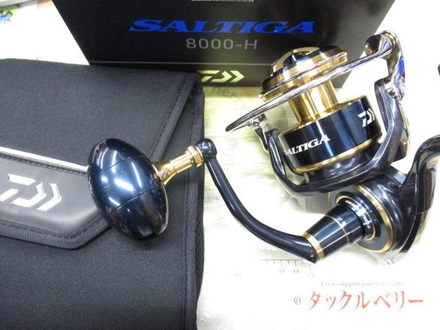 20ソルティガ 8000-H
