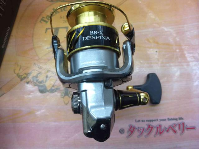 16BB-Xデスピナ C3000DTG