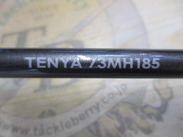 サーベルマスターSSテンヤ 73MH185/L