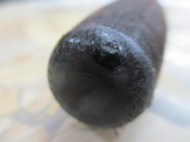 抱月 硬式17