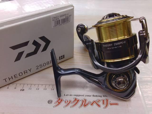 17セオリー 2508PE-H
