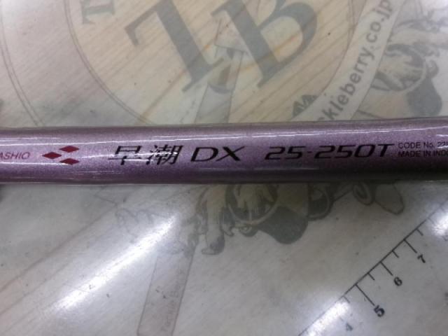 IG早潮DX 25-250T