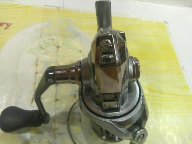 21ナスキー C2000SHG