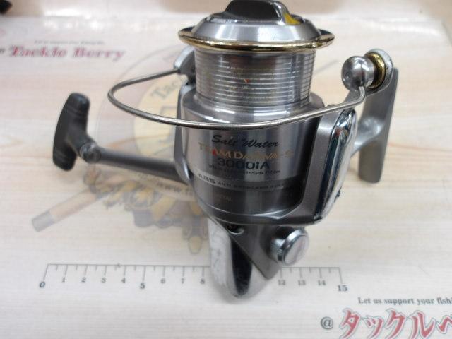 TD-S SW 3000iA