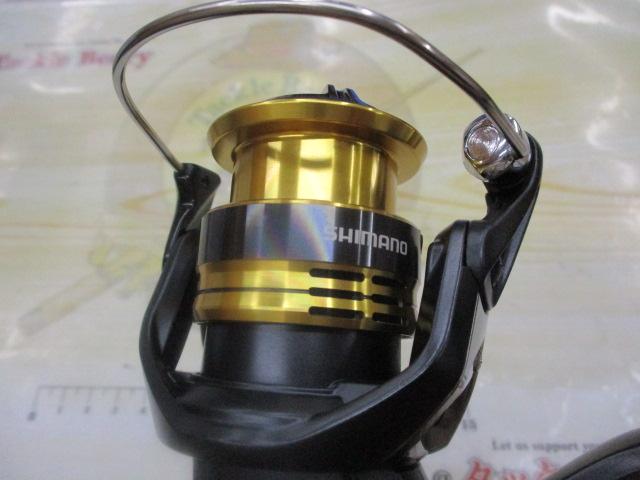 22サハラ 1000