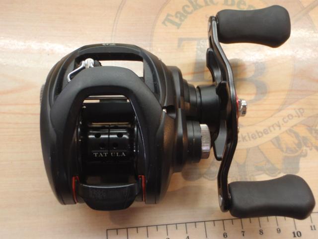 タトゥーラ TW 100SH