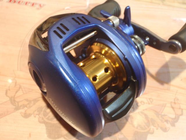 アグレストPEスペシャル 100H｜＠ベリーネット 日本最大新品中古釣具