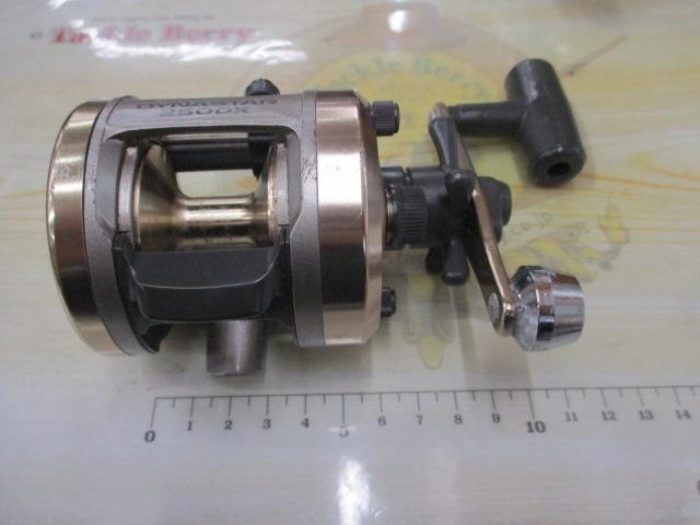 ダイナスター 250DX