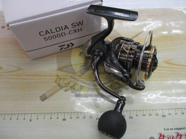 22カルディアSW 5000D-CXH