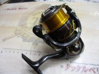 13セルテート 2506H