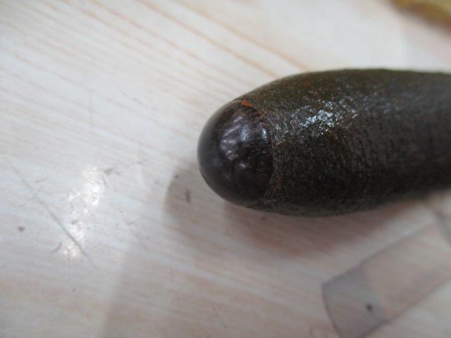 朱紋峰 本造り 9