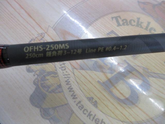 オーシャンフィールドヒトツテンヤ OFHS-250MS