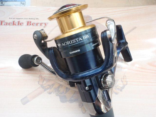 13アオリスタBB 4000