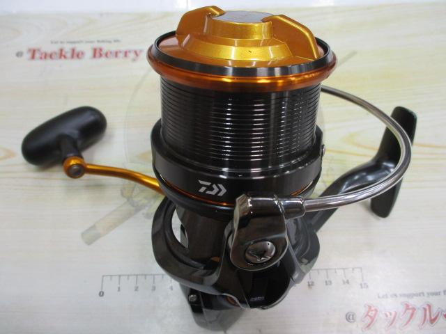 19キャスティズム 25 QD