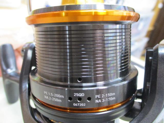 19キャスティズム 25 QD
