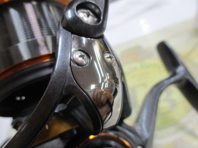 19キャスティズム 25 QD