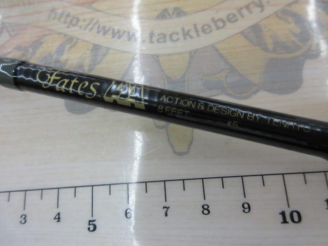 フェイテスAA8ft#5