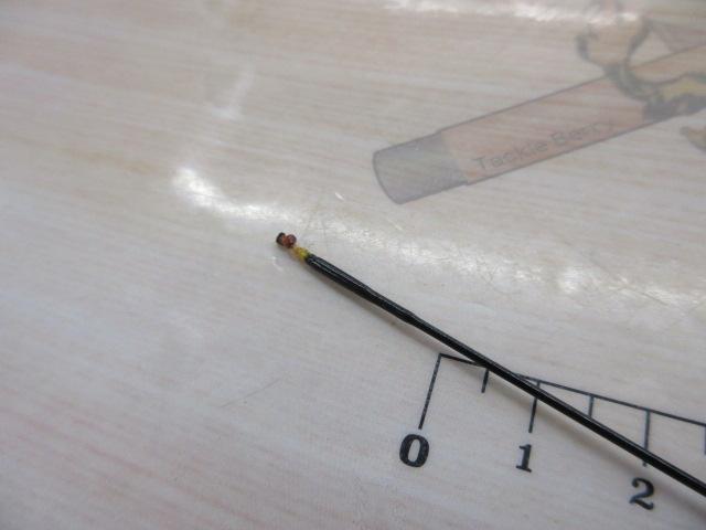 華仙頂 10.1