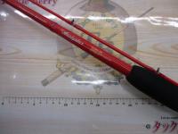 アナリスター カレイ 180