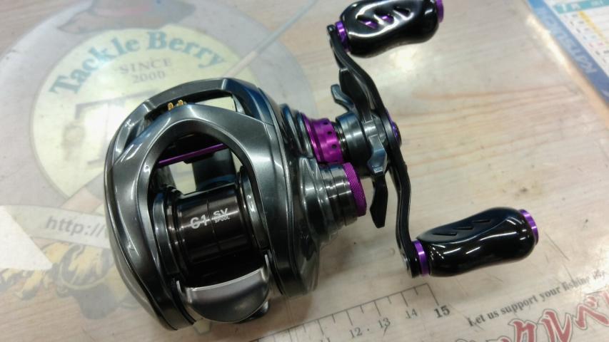 スティーズCT SV TW 700XH