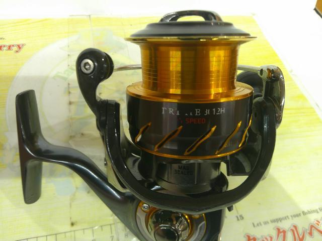 13セルテート 3012H