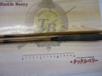 天光13