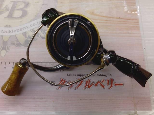 18カーディフCI4+ 1000SHG