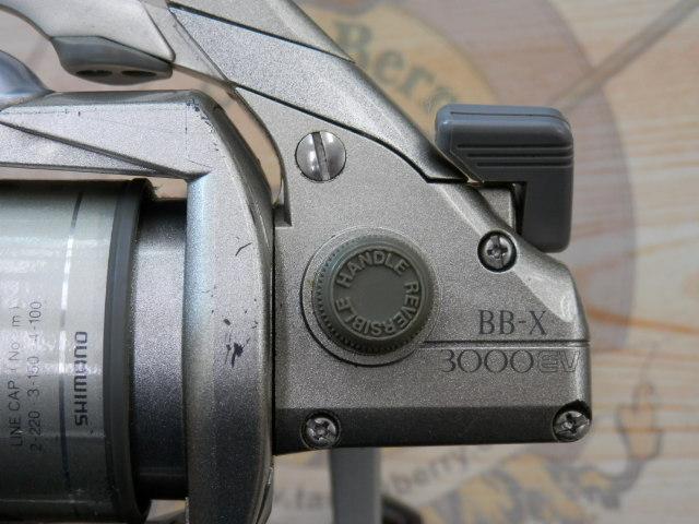 SBL BB-X EV 3000