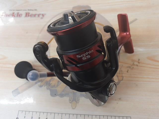 19セフィアSS C3000SHG