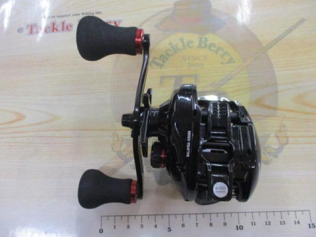 16炎月BB 100PG