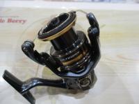 21アルテグラ C3000XG