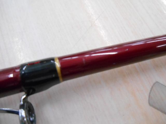K+LC瀬戸内アコウ2.25