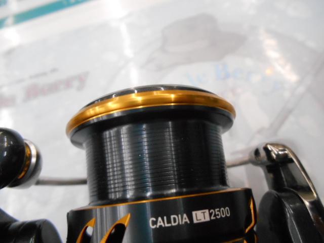 21カルディア LT2500