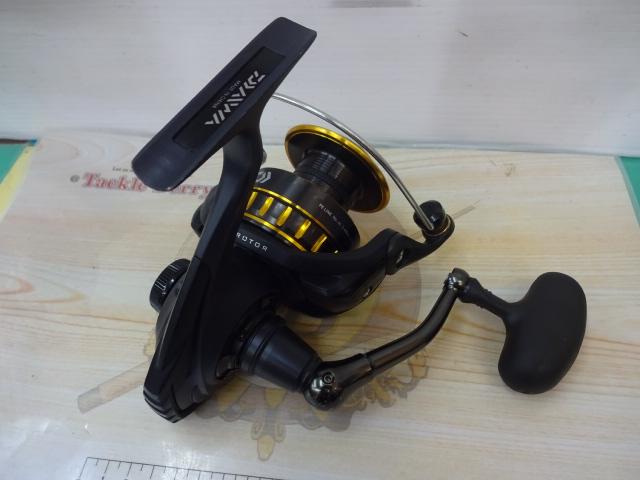16BG 4500H