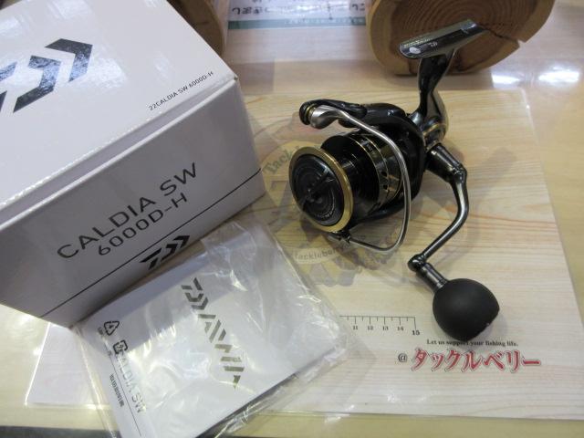 22カルディアSW 6000D-H