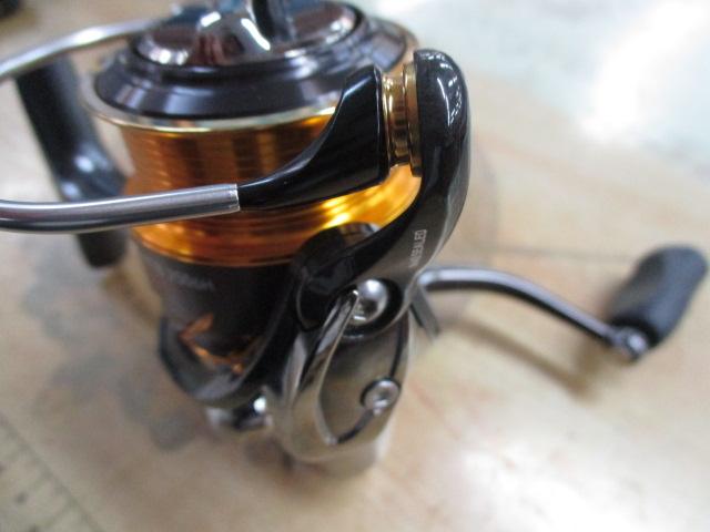 13セルテート 2506H