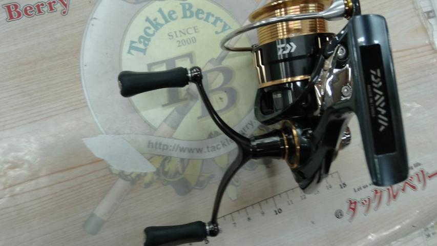 17セオリー 2508PE-DH