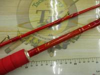 剛樹Gチームマダイ300S 3.0m LINE2-6 WEIGHT30-80
