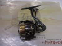 17セオリー 2508PE