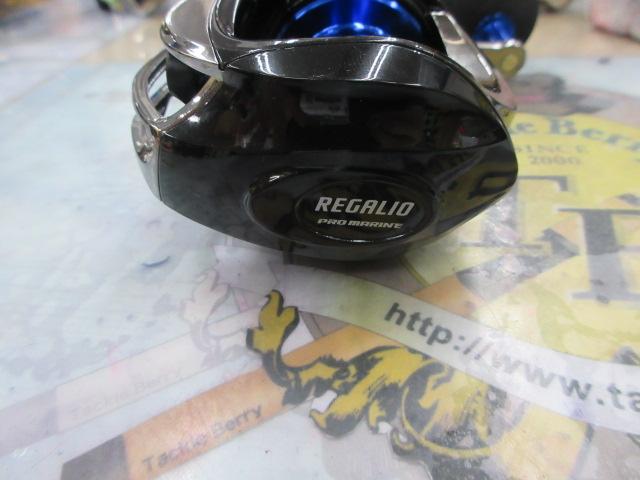 REG100Wレガリオ糸ナシ