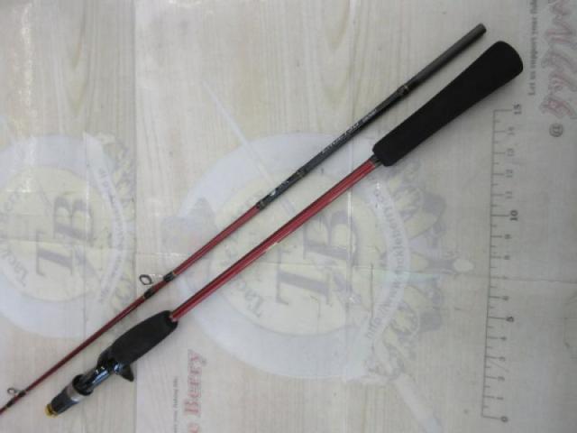 16炎月BB B69L-S