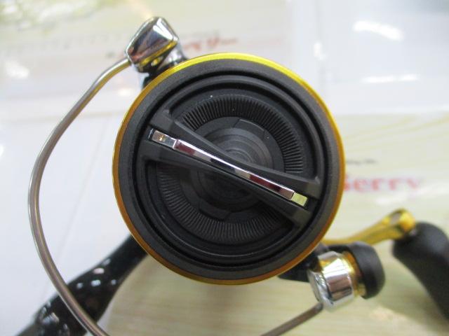17サハラ 1000